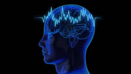 人工智能算法,可顯示到人類腦海所見的畫面?
