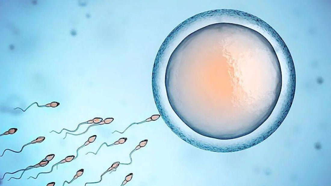 無聲的流行病全球男性平均精子數量腰斬!