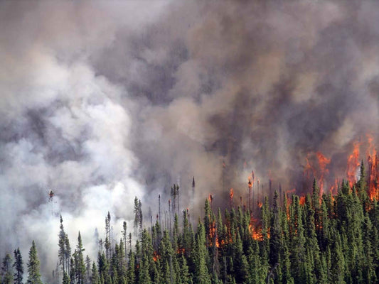 加拿大山火已成全球環境事件，背後揭示兩大特殊現象！