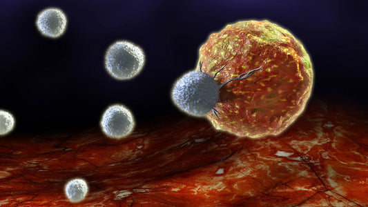 科學家發現新“高級”T細胞，可攻擊多個癌症靶點!